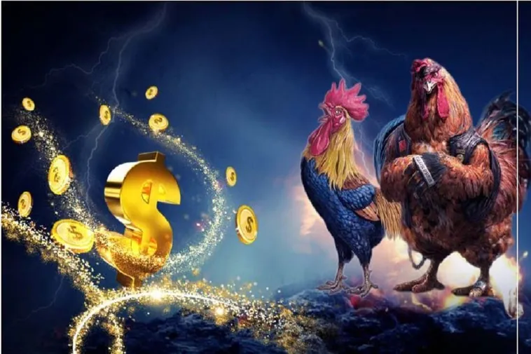 Tìm Hiểu Đá Gà ManClub Với Sảnh Chuyên Biệt Và Cách Bắt Kèo Hiệu Quả
