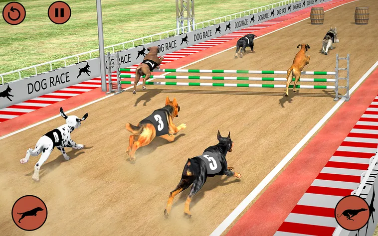 Cách Chơi Game Nhanh Đua Chó Tại ManClub Chi Tiết Cho Người Mới